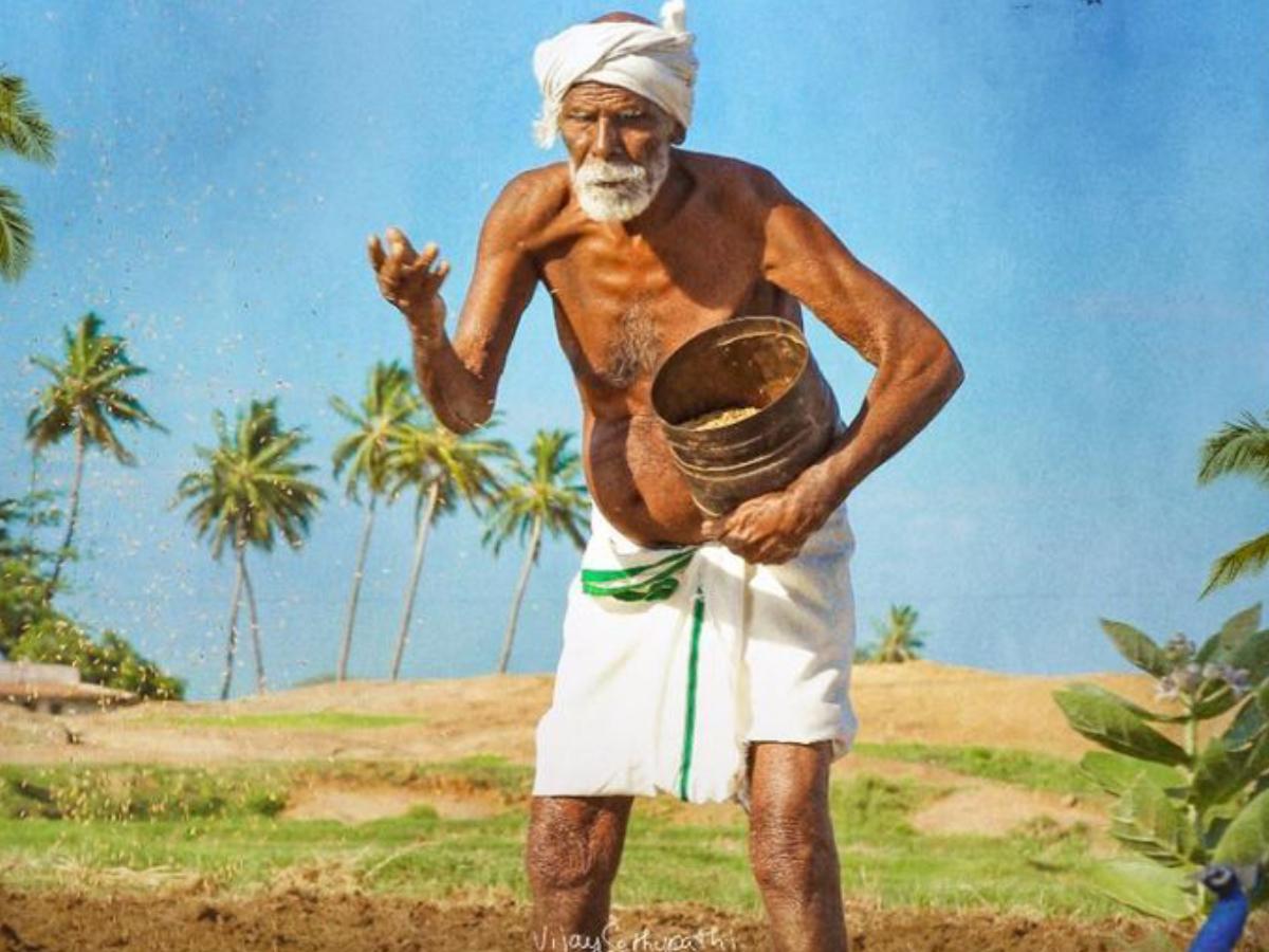 kadaisi vivasayi