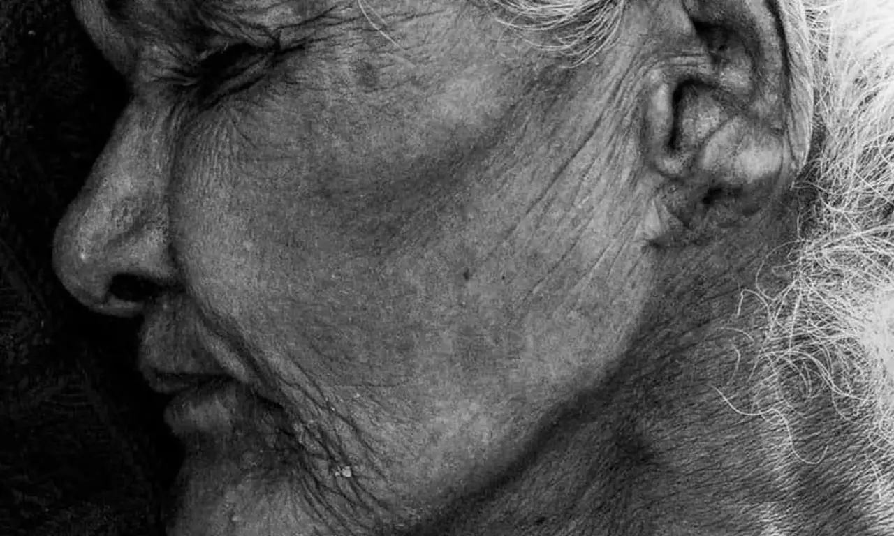 விக்னேஷ் குமுளையின் தமிழ்த் திரைப்படமான கற்பாரா (Karparaa) - முதுமை, புறக்கணிப்பு மற்றும் குடும்பப் பிணைப்பு - https://bookday.in/